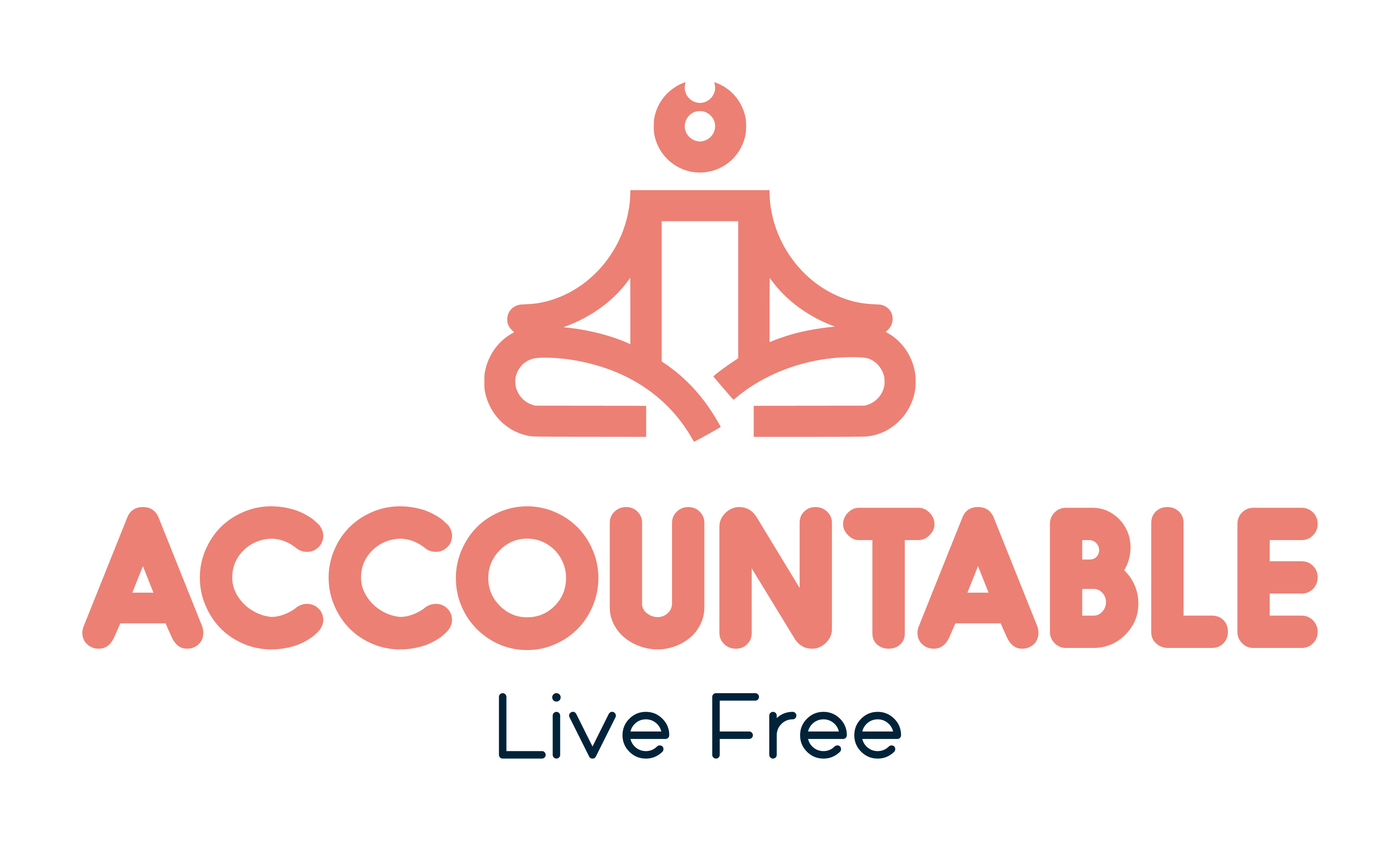 You Are Accountable, Inc.