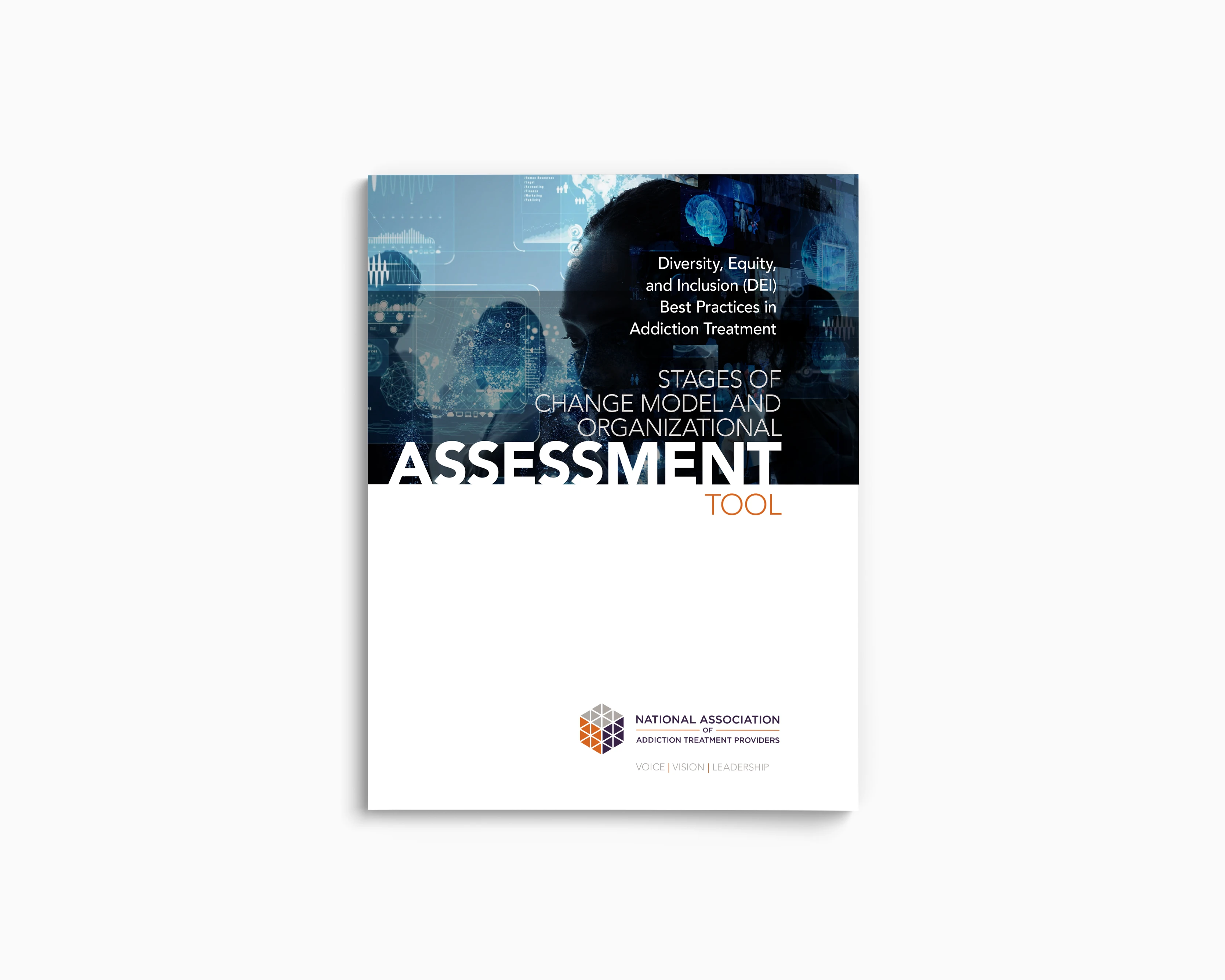 DEIB Changes of Change Organizations Assessment Tool
