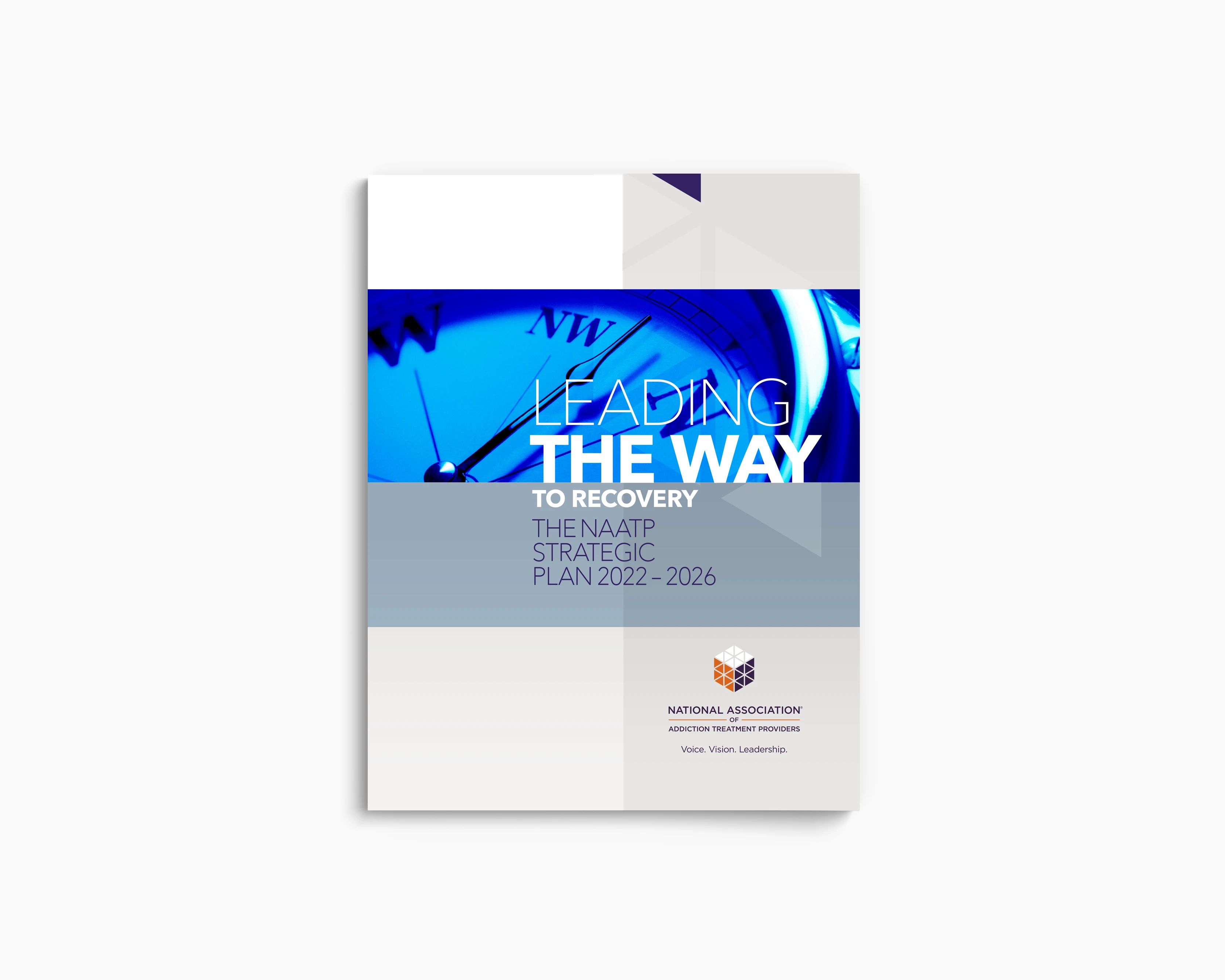 NAATP Strategic Plan